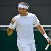 Juan Martin del Potro na Wimbledonu 2013