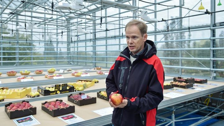 Jablka z Českého ráje letěla i do vesmíru. Malá stanice šlechtí odrůdy pro celý svět