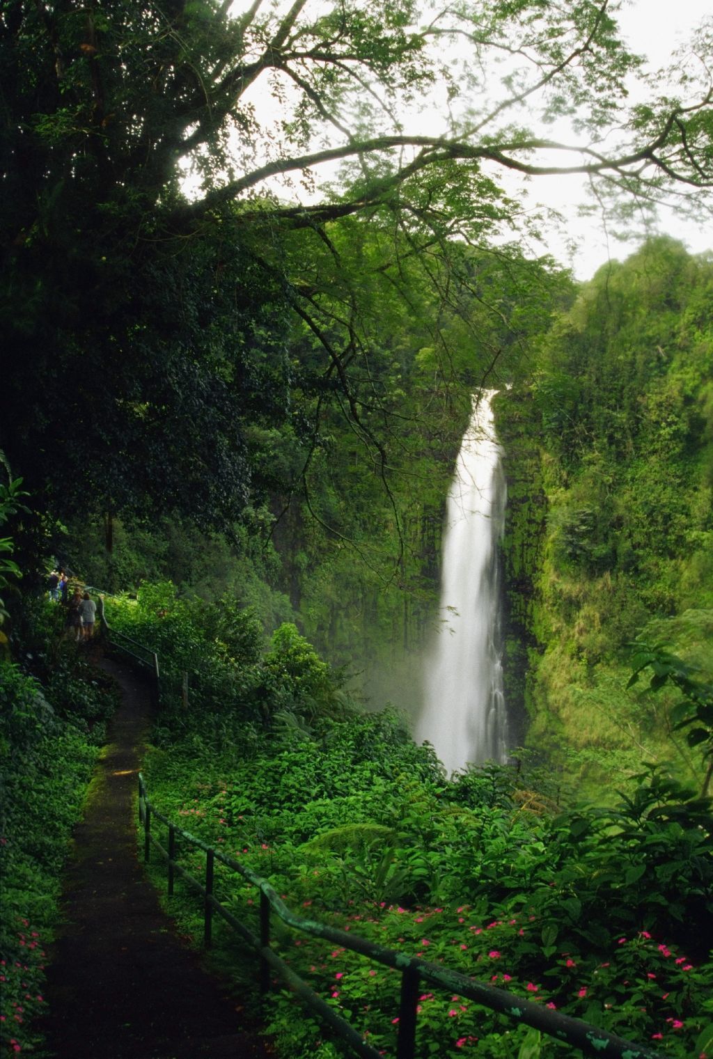 vodopády Akaka, Havaj