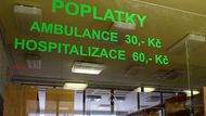 2. července - Vláda schválila návrh na zrušení třicetikorunových poplatků v ambulancích a lékárnách od ledna. Zůstane jen 90 korun na pohotovosti. Kabinet také schválil zavedení snížené sazby daně z přidané hodnoty ve výši deset procent pro knihy, kojeneckou výživu a léky. Platit bude od příštího roku. Prezident Miloš Zeman obě předlohy podepsal 6. listopadu.