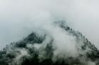 Albert Peak, když jsme se Jeepem toulali po nepoužívanách lesních cestách. (Okolí Revelstoke).