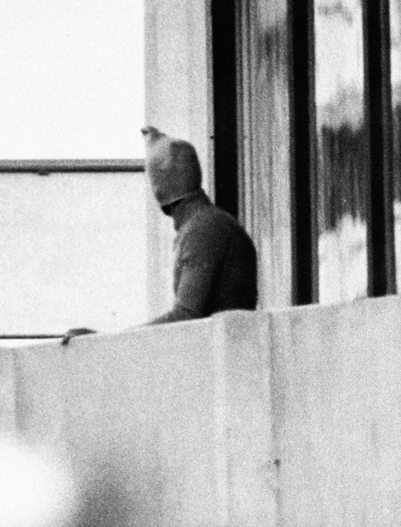 Jednorázové užití / Fotogalerie / Napjatá historie Izraelců a Arabů / 8 / 8_Masakr na olympiádě v Mnichově 1972