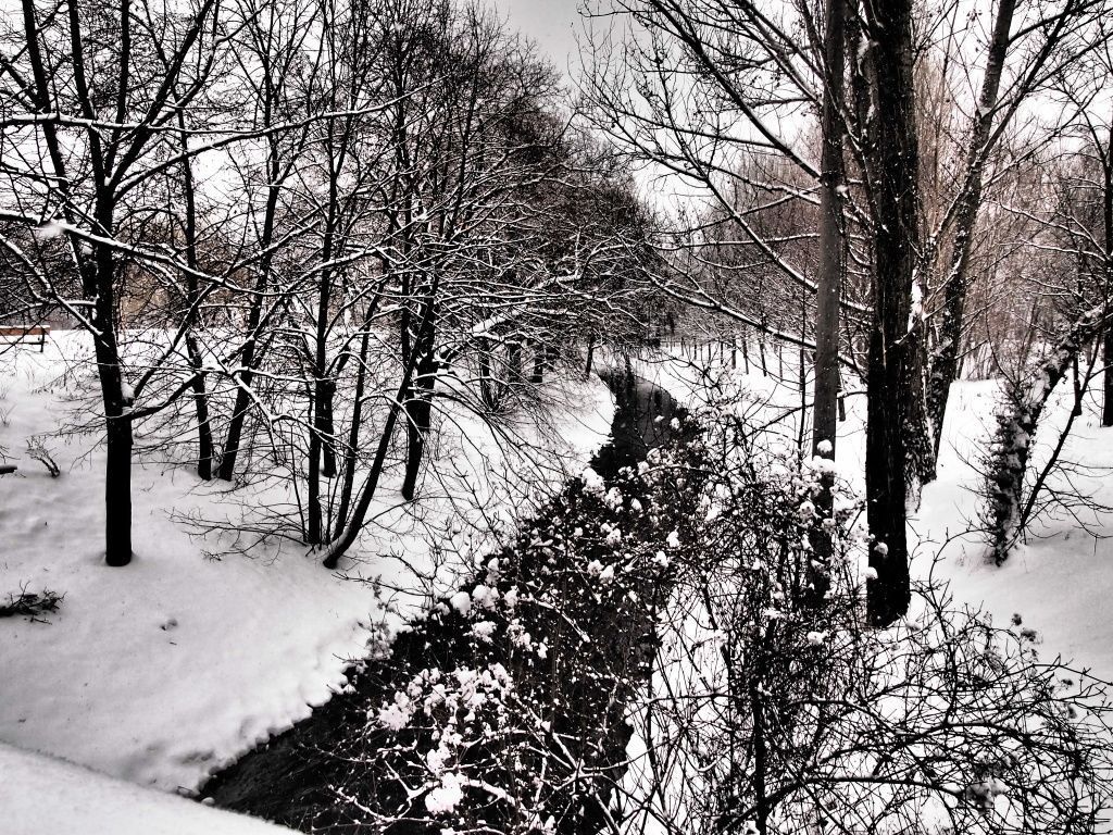 Sníh