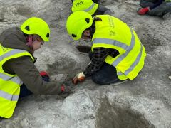 British Quarry Yields Largest Dinosaur Track Discovery in UK History