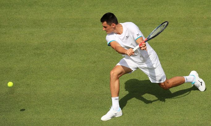 Bernard Tomic v prvním kole Wimbledon 2019