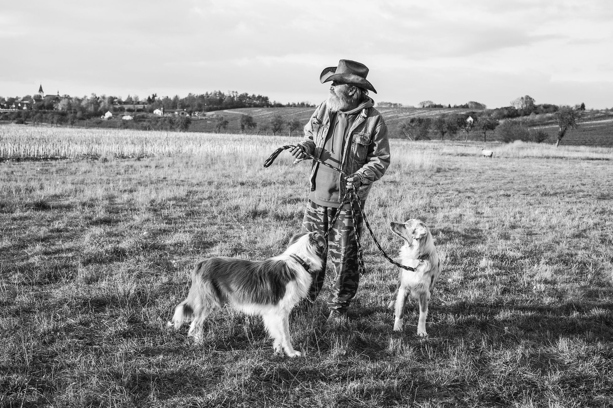 Aleš Palán, Samotáři 2