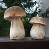NEPOUŽÍVAT !!! Fotosoutěž houby 2017