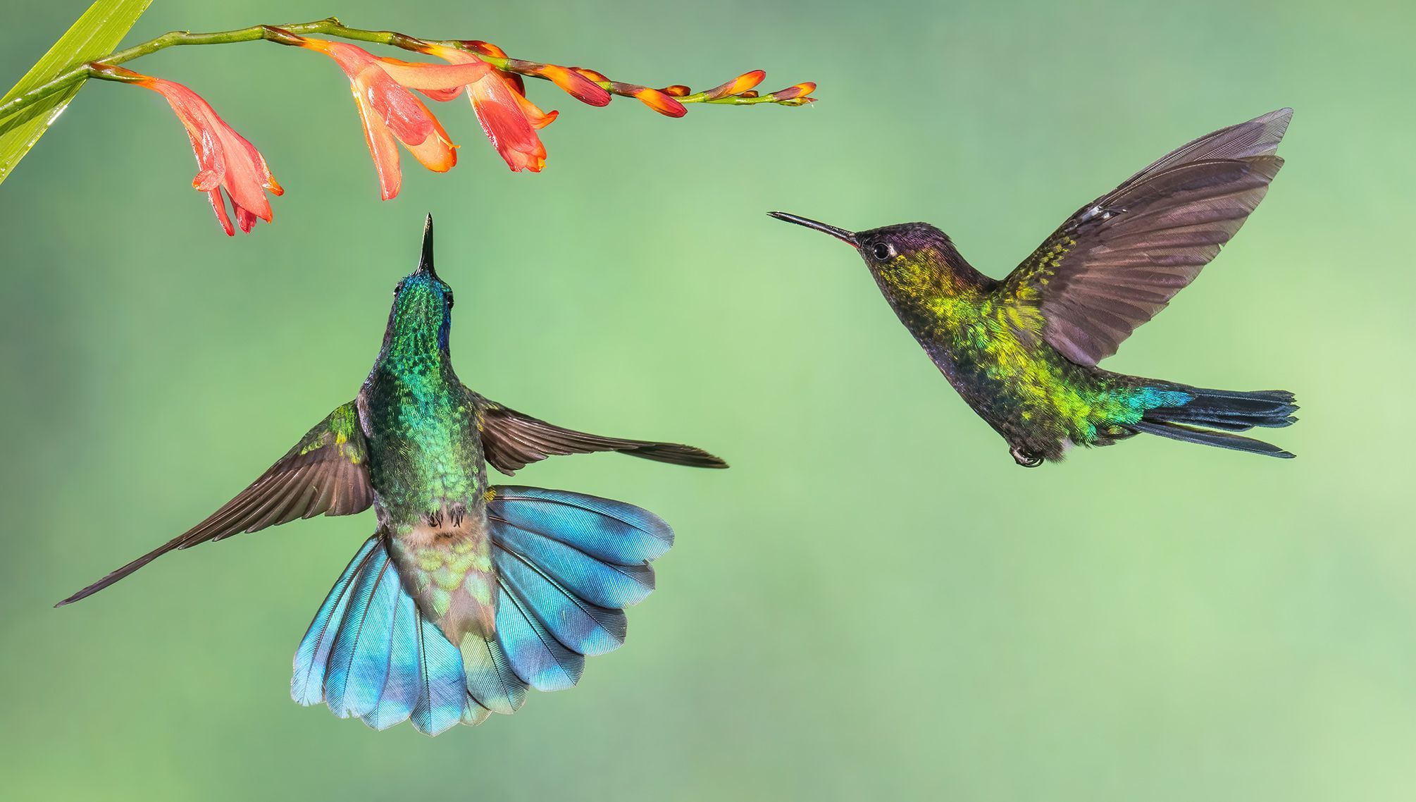 Nejlepší snímky přírody ze soutěže PA2F Environmental Photography Award