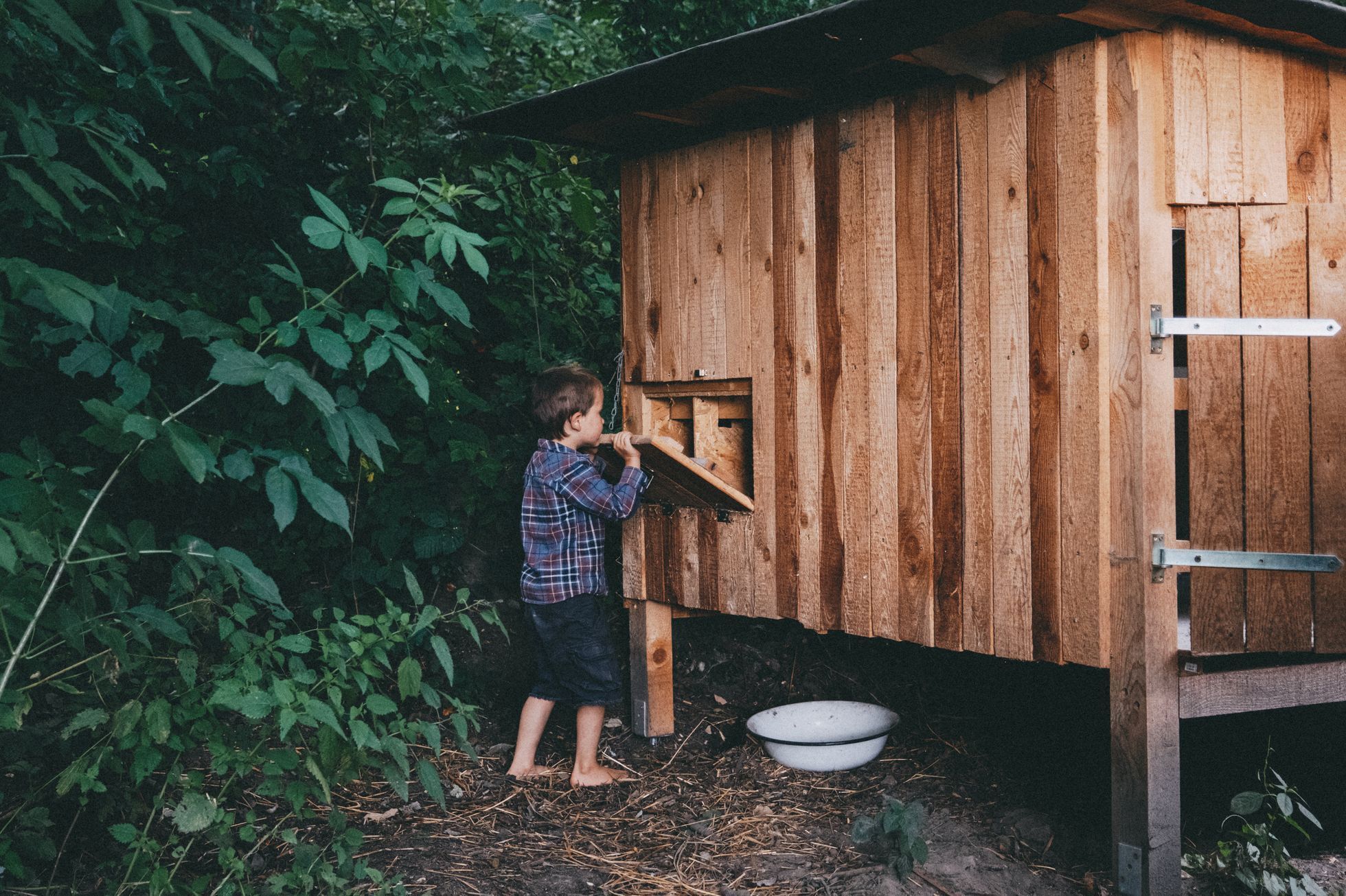 na okraji domov můj, kniha, rodina, bydlení, dům, podnikatel
