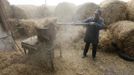 An employee crushes straw, a basic nutrient for oyster mushrooms, also known as Veshenka mushrooms or Pleurotus Ostreatus, inside a private mushroom farm in the settlement of Beryozovka outside Krasnoyarsk, May 16, 2012. The farm is the only cultivator and supplier of oyster mushrooms in the region. Oyster mushrooms lower cholesterol levels and reduce the risk of oncological diseases, according to farm co-owner Sergei Murunov. REUTERS/Ilya Naymushin (RUSSIA - Tags: AGRICULTURE SOCIETY) Published: Kvě. 16, 2012, 2:53 odp.