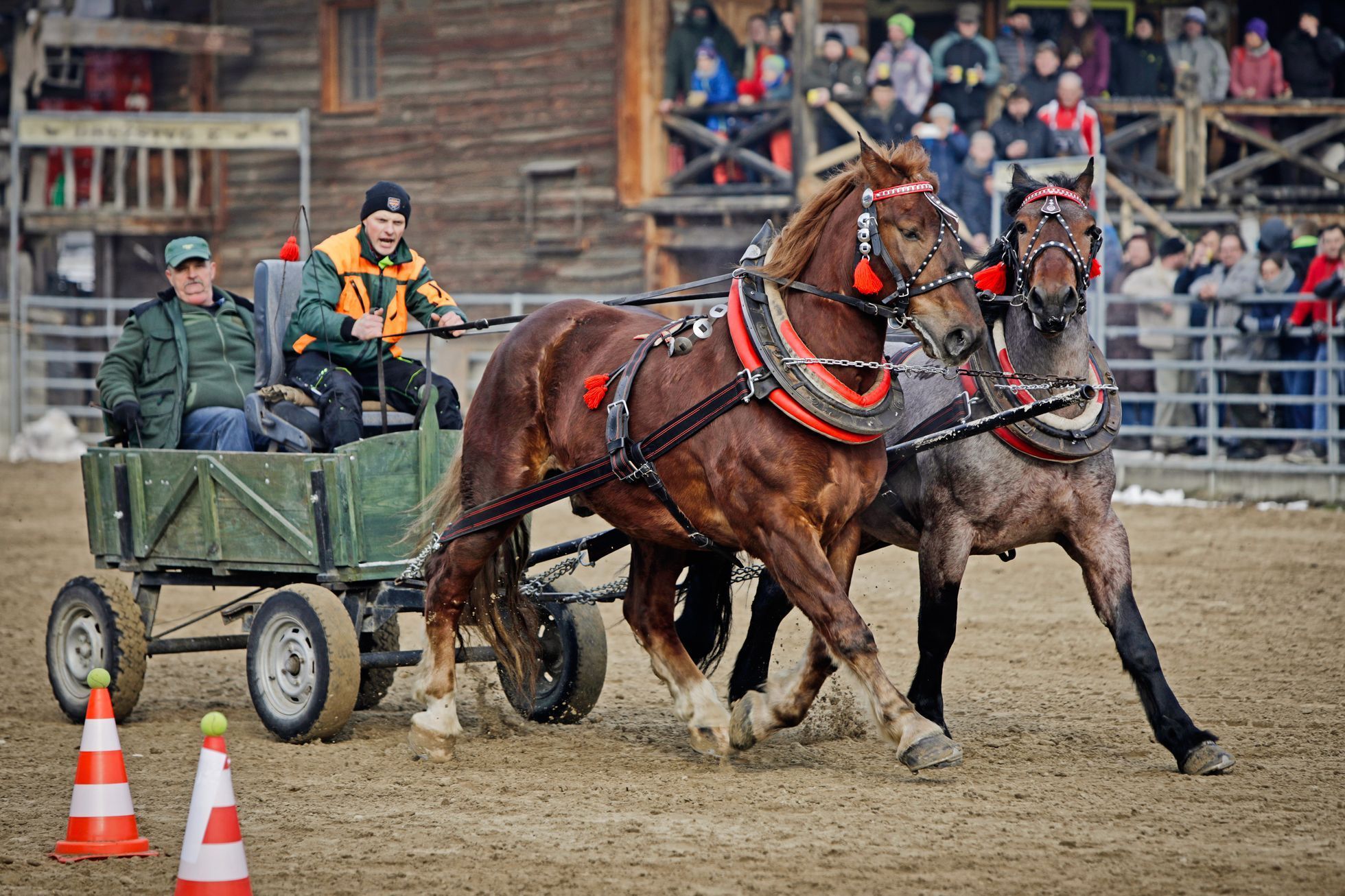 Formanské závody, Nemšová, Slovensko, Lifestyle