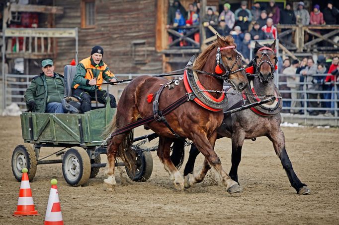 Záběr z Formanských závodů, které uskutečnily v sobotu 11. 2. 2023 ve městě Nemšová na severozápadním Slovensku.