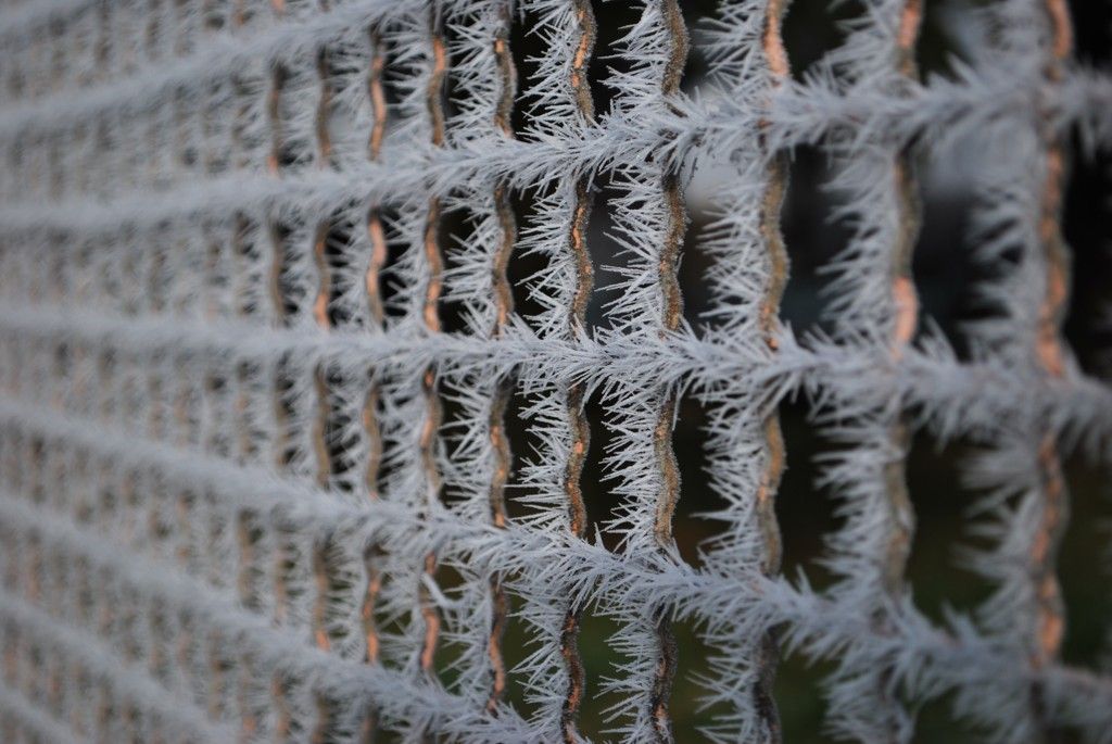Jinovatka, zima, mráz - ilustrační foto - Veselí nad Lužnicí