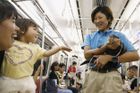 Domácí mazlíčky v Japonsku nahradily vydry. Nechte je v přírodě, trpí, tvrdí ochránci