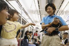 Domácí mazlíčky v Japonsku nahradily vydry. Nechte je v přírodě, trpí, tvrdí ochránci