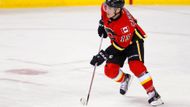 Další posilou Devils je útočník Mike Cammalerri, jenž v uplynulých letech hrával za Calgary Flames. V Minulé sezoně si připsal 45 bodů v 63 utkáních. Na rozdíl od Havláta, jenž dostal smlouvu na jeden rok, počítají devils s Cammallerim na pět sezon.