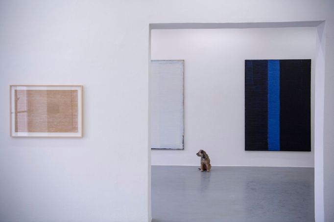 Snímek z výstavy děl Jindřicha Zeithammla.