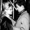 Brigitte Bardot, Pravda