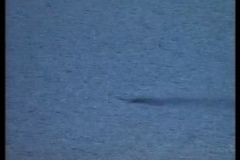 Záhada Loch Ness rozluštěna? Vědec našel nové indicie