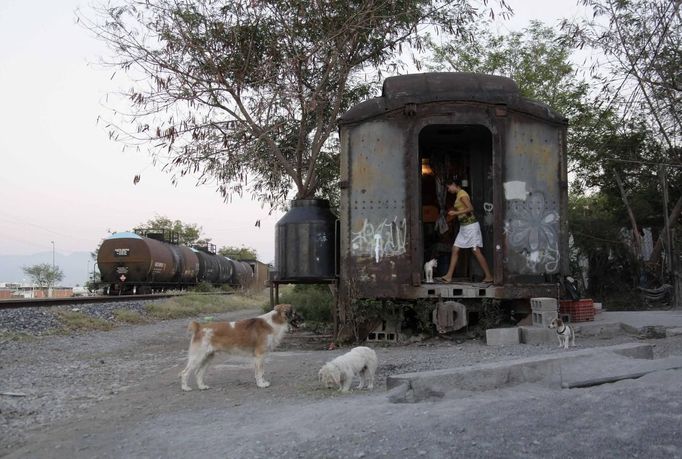 Judith walks inside a train carriage she calls home in Cadereyta on the outskirts of Monterrey August 8, 2012. Judith, her eight other family members and their pets have been living in the abandoned carriage next to a train track for the last 15 years. Judith's grandparents moved from Tamaulipas to Cadereyta after one of their sons was killed on the street by a stray bullet. The family moved into the carriage, which was empty after having been occupied by a vagabond, after living for the first five years in a rented room after arriving in Cadereyta. Picture taken August 8, 2012. REUTERS/Daniel Becerril (MEXICO - Tags: SOCIETY) Published: Srp. 11, 2012, 2:21 dop.