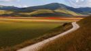 Rozkvetlá letní pole v okolí italské vesnice Castelluccio di Norcia