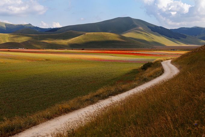 Rozkvetlá letní pole v okolí italské vesnice Castelluccio di Norcia