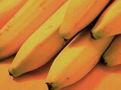 Banány zůstávají nadále kamenem úrazu. Co s nimi? ptá se WTO.