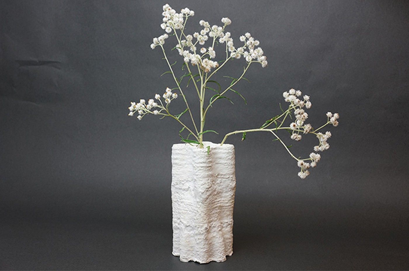 Káva, sedlina, 3D, vědci