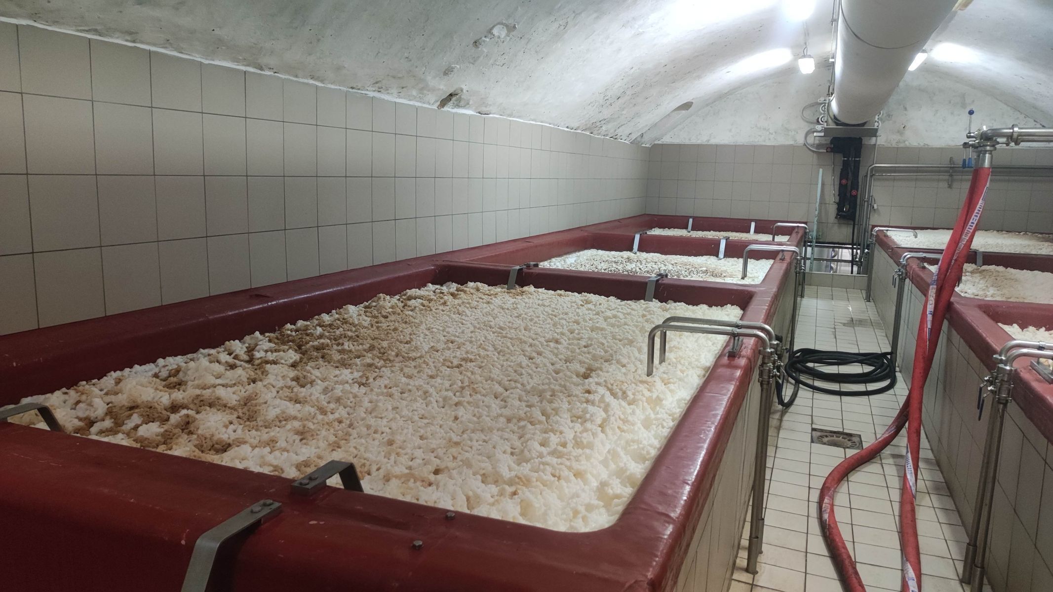 Pivovar Rohozec spilka plná pěna