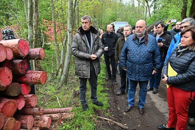 Premiér Andrej Babiš a ministryně financí Alena Schillerová si 15. května 2019 v lokalitě Bílovna nedaleko Bernartic prohlédli lesy zasažené kůrovcem.