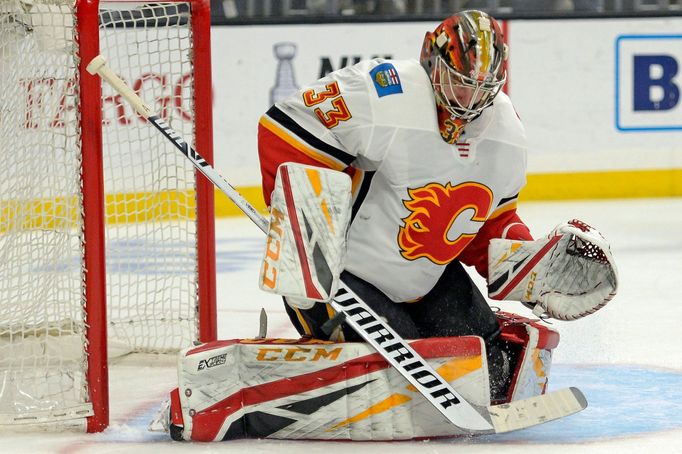 David Rittich v NHL 2019