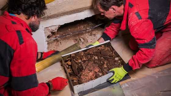 Záhada rozluštěna. Středověkého obra objevili jen pár centimetrů pod prvním nálezem