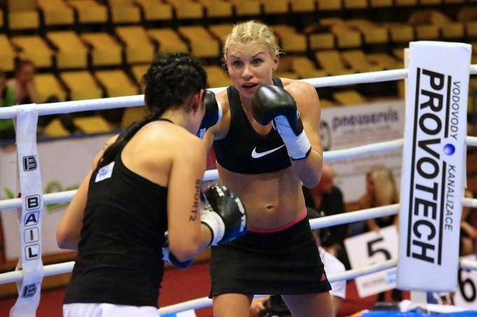 46. ročník Grand Prix Ústí nad Labem 2015