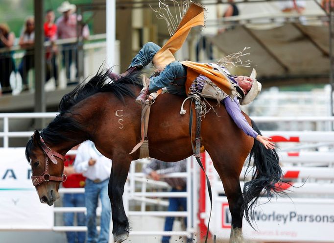 Rodeo v Calgary