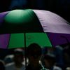 Wimbledon 2015: podavačka míčků se slunečníkem