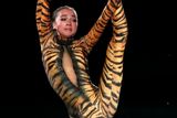 Ruská krasobruslařka Alina Zagitovová se v závěrečné exhibici představila v atraktivním kostýmu "tygřice".