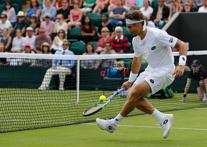 David Ferrer v 1. kole Wimbledonu 2016