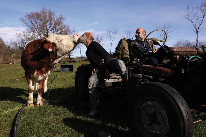 Bratři Klišíkovi z knihy Raději zešílet v divočině