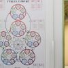 Centrum čínské mediciny ve Fakultní nemocnici v Hradci Králové