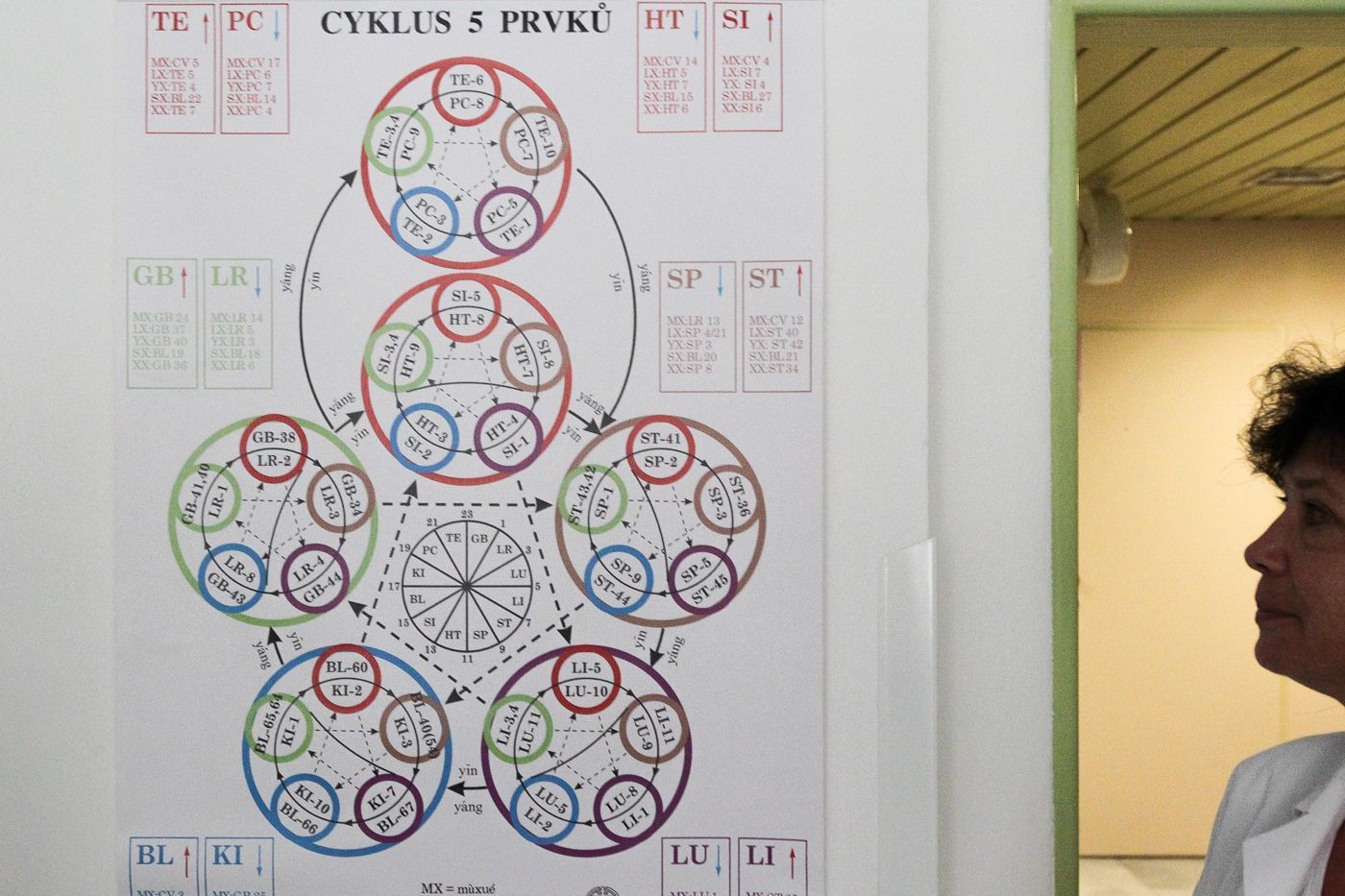 Centrum čínské mediciny ve Fakultní nemocnici v Hradci Králové