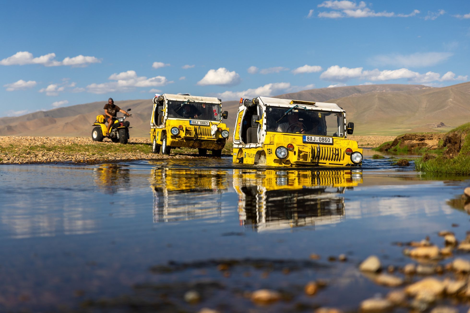 Žlutá žába pluje