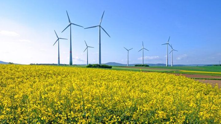 První trest za greenwashing. Ropný gigant v reklamě sliboval uhlíkovou neutralitu; Zdroj foto: Shutterstock