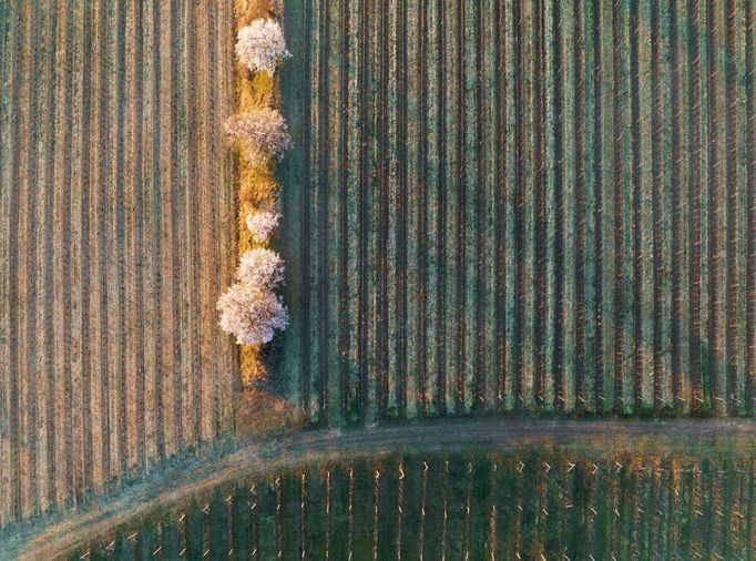 Moravské Slovácko, jižní Morava, fotografie z dronu, fotograf Radek Severa