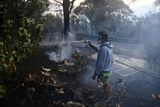V Novém Jižním Walesu s více než osmi miliony obyvatel oheň spálil už 10 tisíc metrů čtverečních a zničil přibližně 150 domů. Kvůli popáleninám a dalším zraněním muselo vyhledat ošetření více než 100 lidí, včetně 20 hasičů.