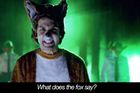 VIDEO Jak dělá liška? Virální hit The Fox o tom ví víc