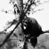 Week of Life - Jan Vrba - 2.7.12 - 2