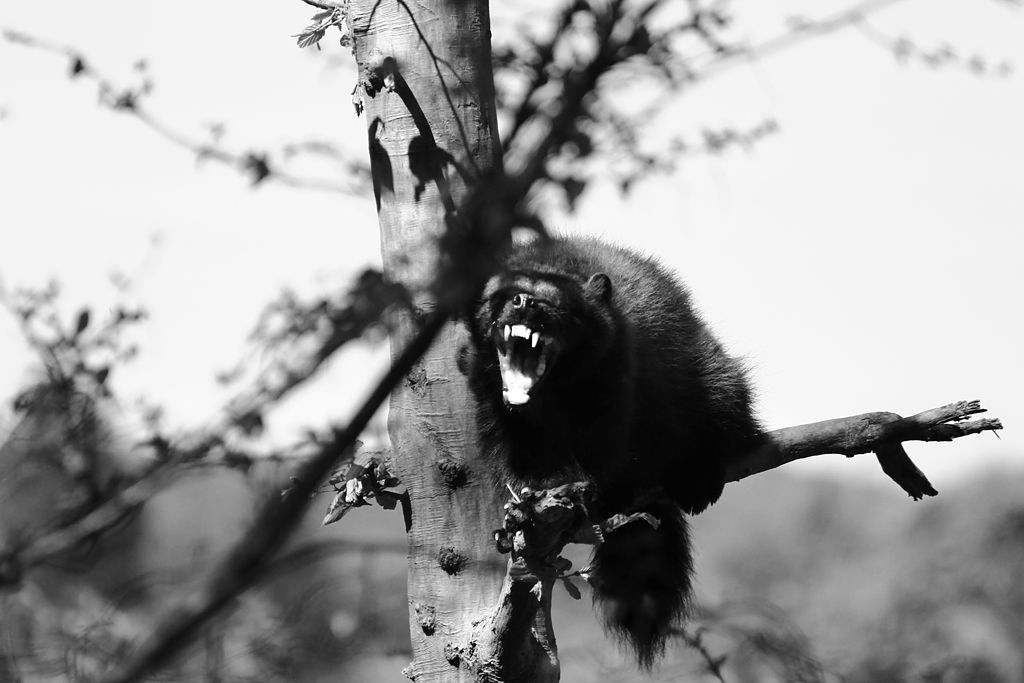 Week of Life - Jan Vrba - 2.7.12 - 2