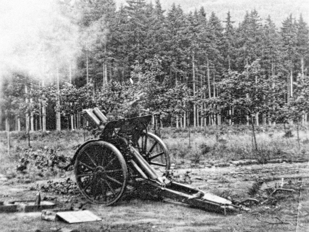 Jednorázové užití / Fotogalerie / Před 95 lety si Brdy vzala armáda, dnes je zde krásná divočina připomínající Šumavu