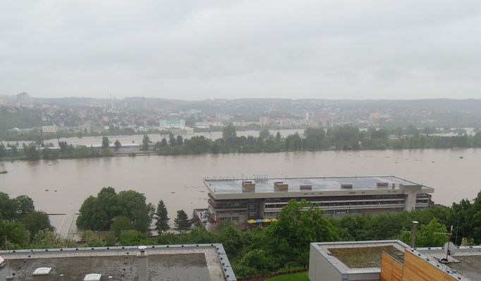 Závodiště Velká Chuchle, pondělí 3.6. ráno.