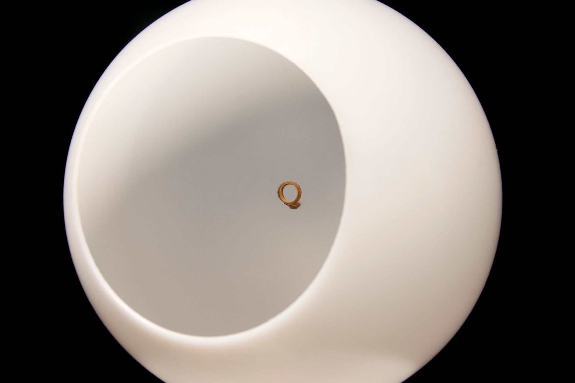 Designblok: Manifest